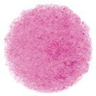 Tombow Bojice Irojiten, Anemone pink