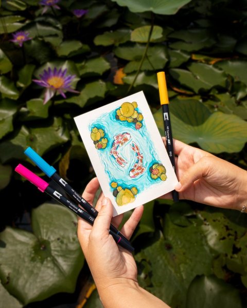 Tombow Manga set CARPE KOII - Japan Edition