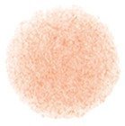 KALIA paper - CIRLG1_swatch.jpg