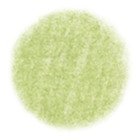 KALIA paper - CIRLG5_swatch.jpg