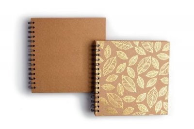 KALIA paper - HA_7631_3030_GC30.jpg